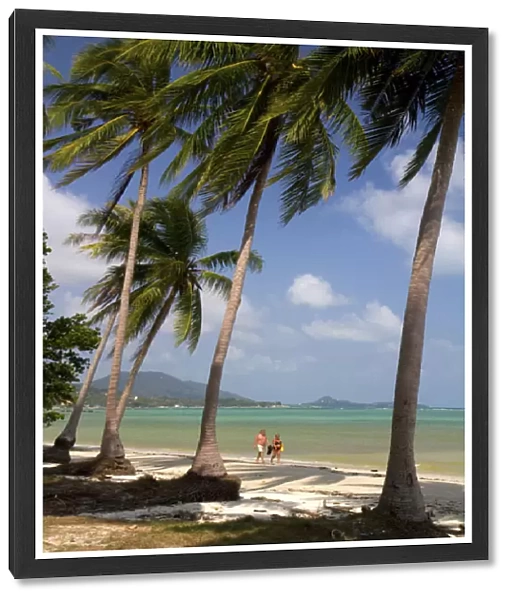 Beach with palm trees and the Gulf of Thailand on the island of Ko Samui, Thailand