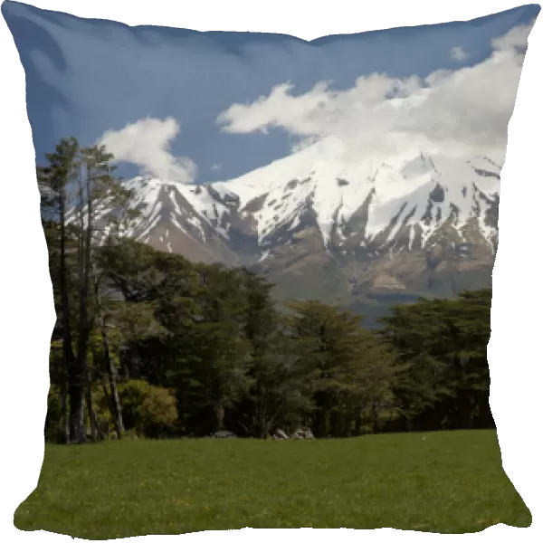 South Pacific, New Zealand, North Island. View of volcanic mountain Mt. Taranaki
