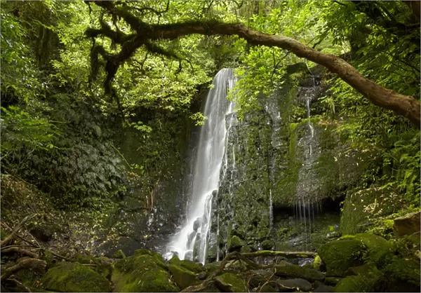 Matai Falls, Catlins, South Otago, South Island, New Zealand