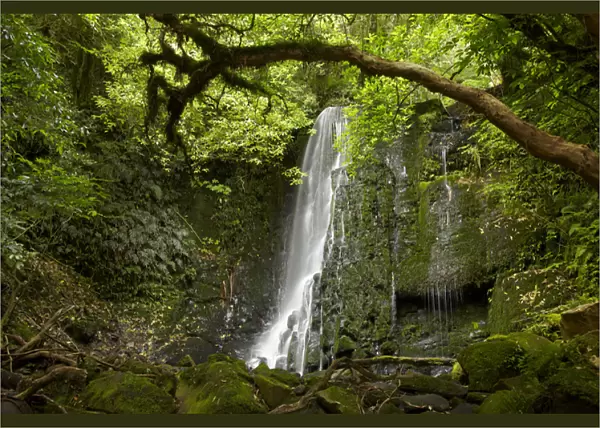 Matai Falls, Catlins, South Otago, South Island, New Zealand