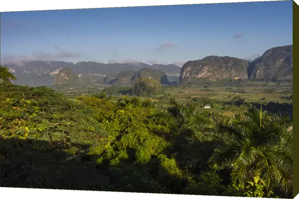 Cuba. Pinar del Rio. Vinales. The Vinales valley in the early morning