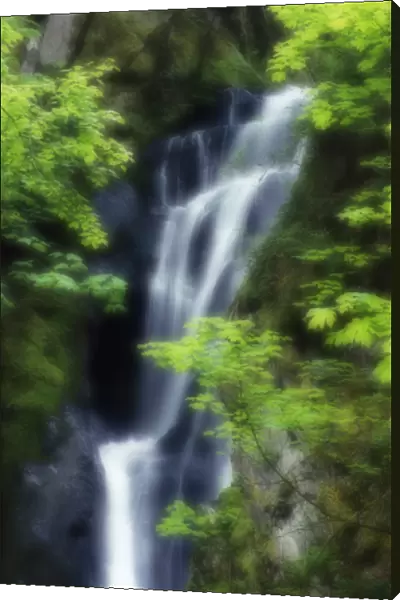 Canada, British Columbia, Langford. Waterfall montage at Goldstream Provincial Park