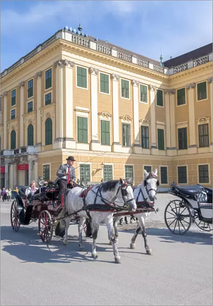 Europe, Austria, Vienna, Schonbrunn Palace, horse-drawn carriage ride