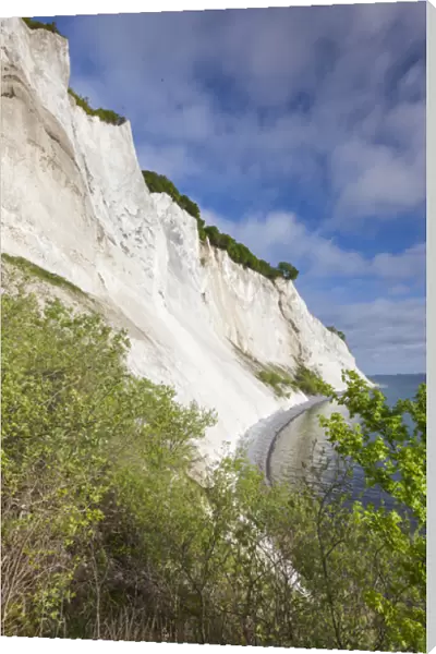Denmark, Mon, Mons Klimt, 130 meter-high chalk cliffs from the shore