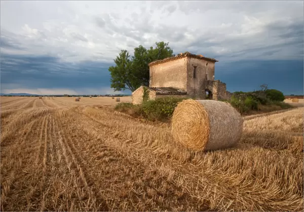 Europe, France. Hay bale in Provence field. Credit as: Ellen Anon  /  Jaynes Gallery  /  DanitaDelimont