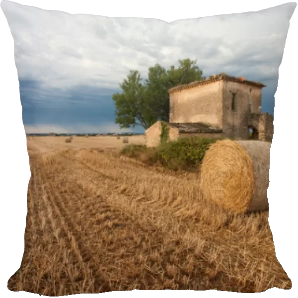 Europe, France. Hay bale in Provence field. Credit as: Ellen Anon  /  Jaynes Gallery  /  DanitaDelimont