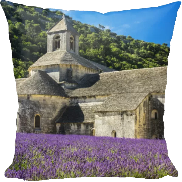 Europe; France; Provence; Seananque Abbey; Seananque Abbey with Lavender in full bloom