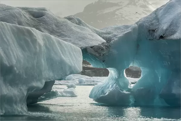Europe, Iceland, Jokusarlon. Iceberg formations