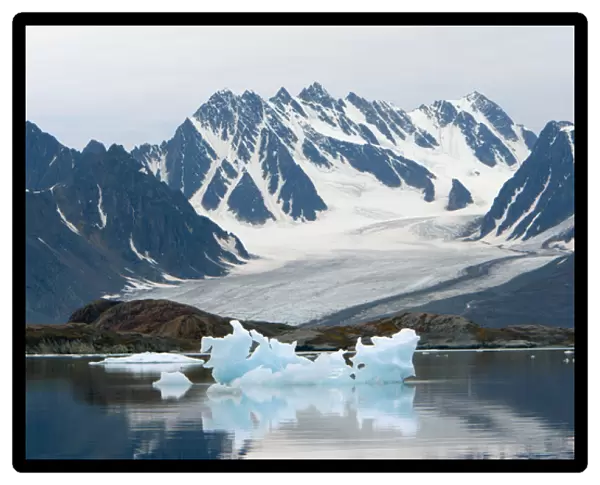 Liefderfjorden Fiord, Svalbard, Norway, Receding Glacier and iceberg
