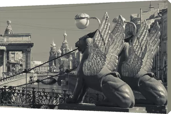 Russia, Saint Petersburg, Center, Bankovsky Bridge, griffin statue