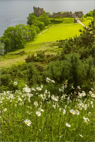 Europe, Scotland, Loch Ness. Landscape of Castle Urquart ruins