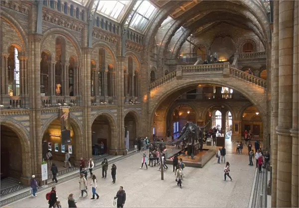 UK. London. Kensington. Natural History Museum. Visitors in the great hall