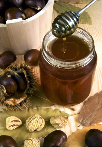 Chestnut (Castanea sativa) honey in jar