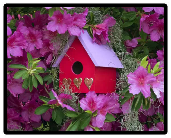Birdhouse and Azaleas in Garden. Credit as: Nancy Rotenberg  /  Jaynes Gallery  /  DanitaDelimont