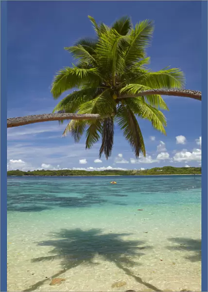 Palm trees, Shangri-La Fijian Resort, Yanuca Island, Coral Coast, Viti Levu, Fiji