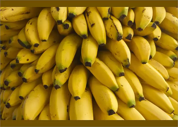 Bananas at the Saturday market, San Ignacio, Belize
