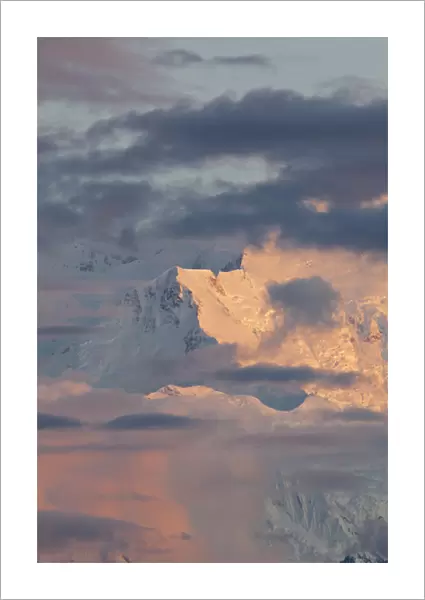 Denali National Park, Alaska, alpenglow illuminates Pioneer Ridge and the Wickersham