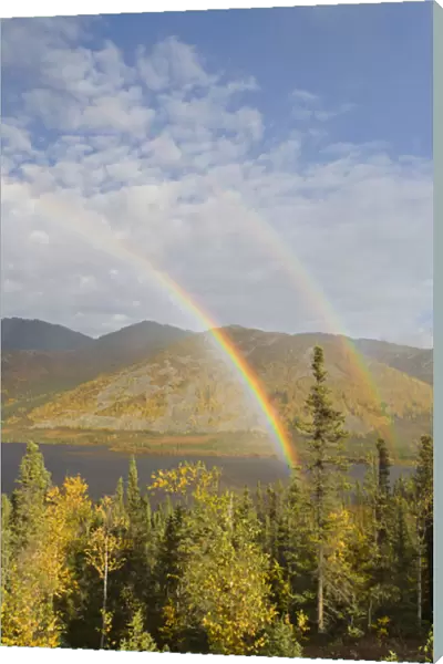 A rainbow arcs over autumn colors and Grayling Lake along the James Dalton Highway