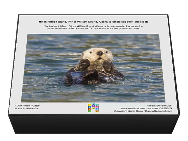 Hinchinbrook Island, Prince William Sound, Alaska, a female sea otter lounges in
