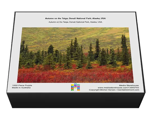 Autumn on the Taiga; Denali National Park; Alaska; USA