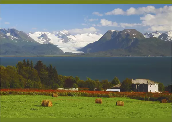 Kachemak Bay and Kenia Mountains from a Farm; Homer; Alaska; USA