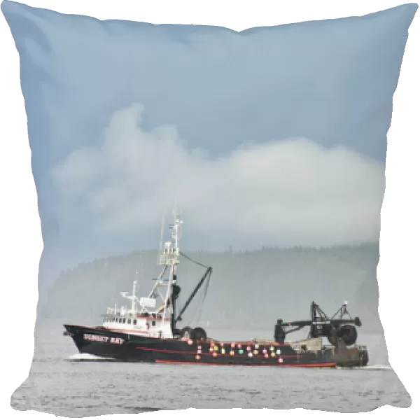 USA, AK, Inside Passage. Commercial fishing major industry of Inside Passage