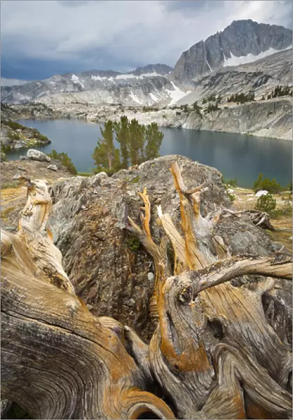 USA, California, Inyo National Forest. Scenic of Steelhead Lake