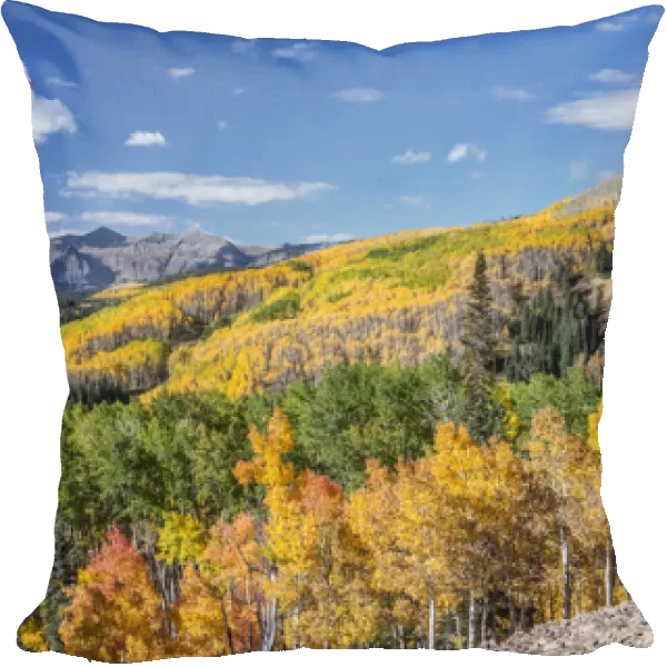 US, CO, Gunnison NF, Rocky Mountain Autumn