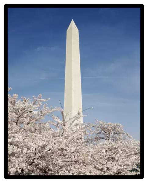 USA, Washington DC, View of Washington Monument