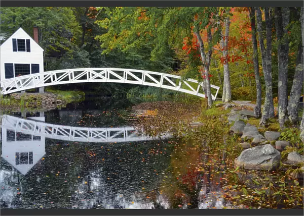 white footbridge, autumn, Mount Desert Historical Society, Somesville, Maine, USA