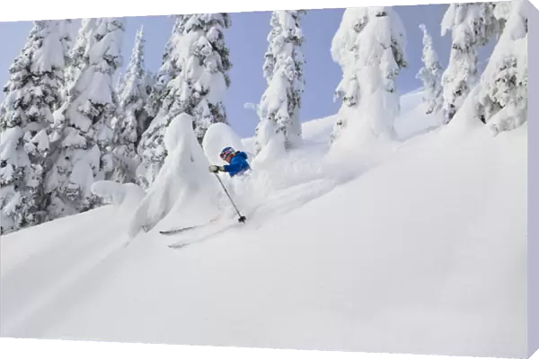 Mistie Fortin skis powder at Whitefish Mountain Resort in Whitefish, Montana, USA MR