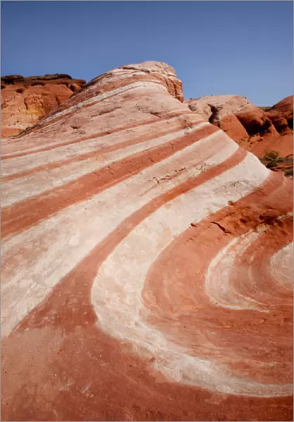USA, Nevada, Valley of Fire State Park. Striped sandstone formation resembles a wave of stone
