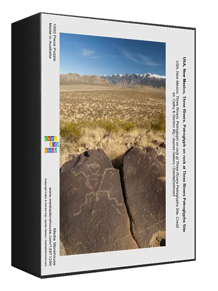 USA, New Mexico, Three Rivers. Petroglyph on rock at Three Rivers Petroglyphs Site