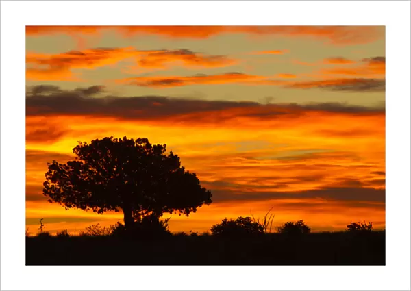 Sunrise, Cimarron, New Mexico, Hwy 64