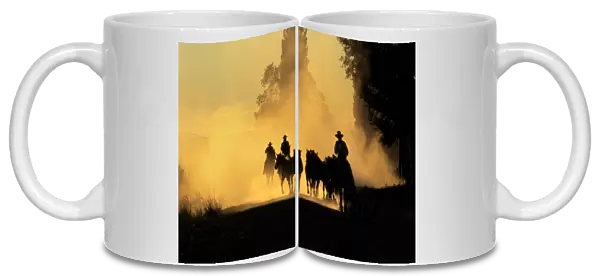 USA, Oregon, Burns. Cowboys driving wild horses down dirt road
