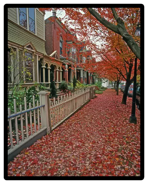 USA, Oregon, Portland. Autumn leaves litter sidewalk along row houses. Credit as