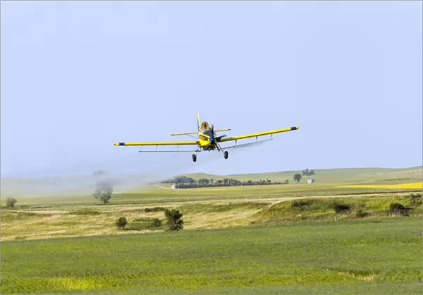 Crop Duster airplane spraying flax filed for grasshoppers near Mott, North Dakota, USA