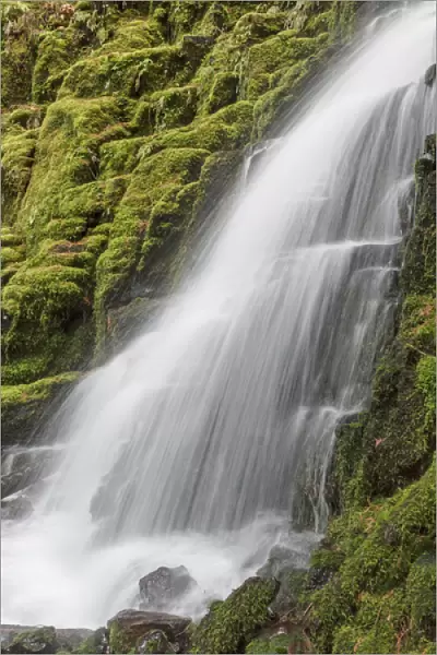 White Branch Falls, Oregon Cascades, Oregon