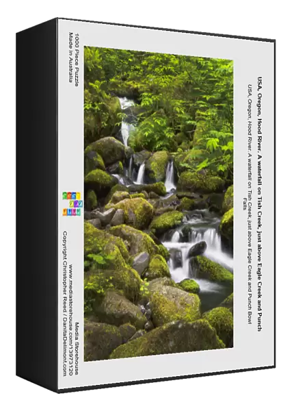 USA, Oregon, Hood River. A waterfall on Tish Creek, just above Eagle Creek and Punch