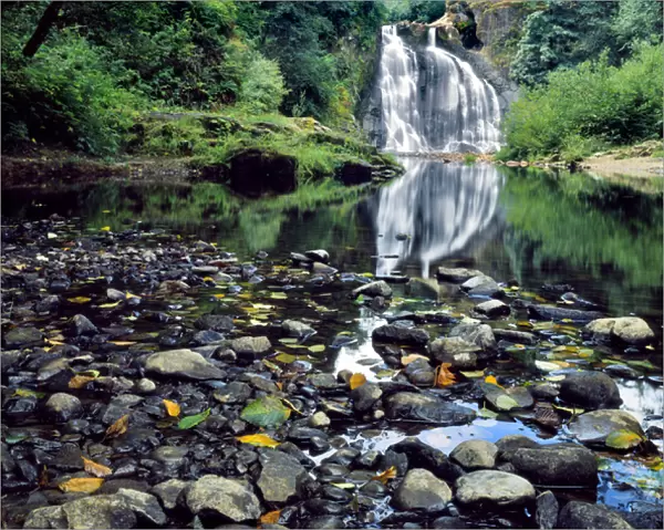 USA, Oregon, Youngs River Falls. Waterfall landscape