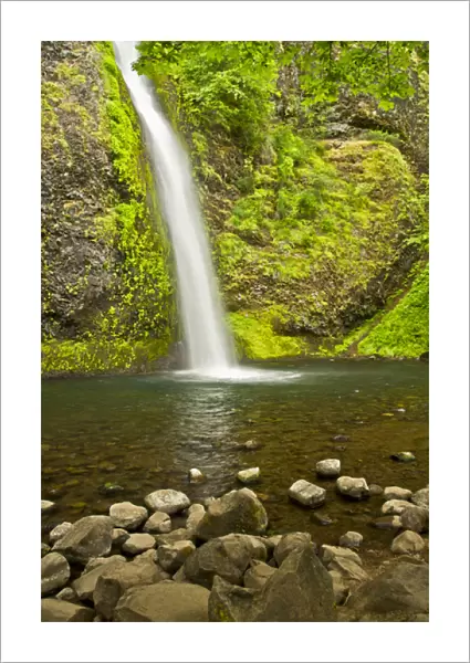 Horsetail Falls, Columbia Gorge, Oregon, USA, waterfall, scenic, landscape, nobody
