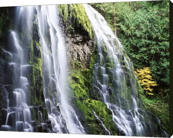 USA, Oregon, Deschutes National Forest, View of proxy falls at McKenzie Pass
