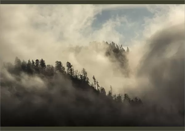 Misty Cloud filled valley from Morton Overlook, Great Smoky Mountains, National Park