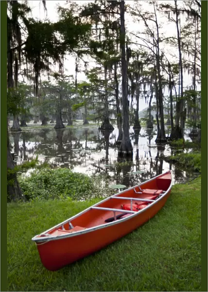 Canoe by Caddo Lake, Texass largest natural lake