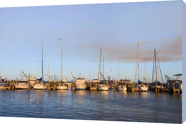 Fulton Harbor and recreational boats