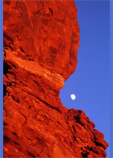 USA, Utah, Arches National Park. Moonrise over Balanced Rock