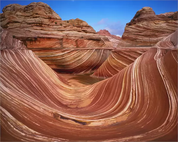 USA, Utah, Paria Canyon. Colorful sandstone swirls in The Wave formation. Credit as