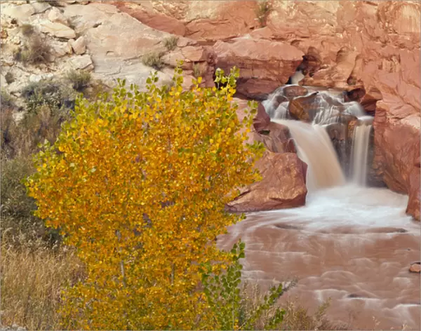 USA, Utah, Capitol Reef National Park. Autumn waterfall on the Fremont River. Credit as