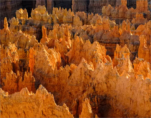 USA, Utah, Bryce Canyon National Park, detail, colorful
