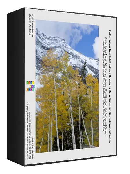 Golden Aspen Trees in fall colors with snow on Mount Superior, Little Cottonwood Canyon